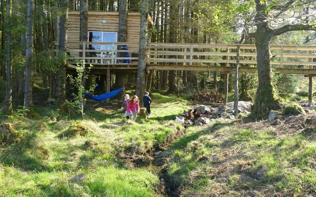 Ox Mountain Tree House