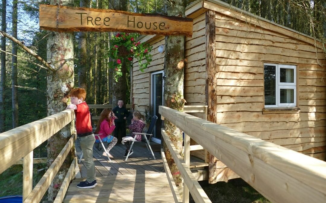 Ox Mountain Tree House